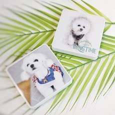 반려견양모펠트액자