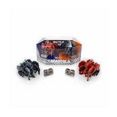 헥스버그타란튤라