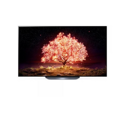 빠른배송 LG 올레드 OLED TV OLED65B1VNA 65인치 스탠드/벽걸이형, 벽걸이형, 163cm(65인치)