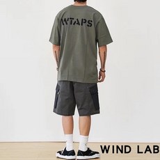 팔라스반팔