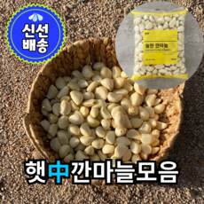 빅투더방앗간 국내산 햇깐마늘 중사이즈모음, 1개, 3kg