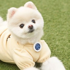 프로젝트21