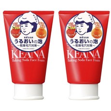 나데시코 케아나 베이킹 소다 페이스 폼