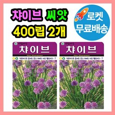 허브 챠이브 (차이브) 씨앗 (합 800립) 허브씨 종자