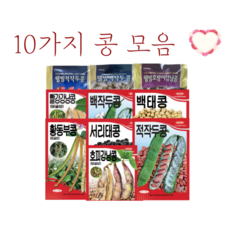 식재삽콩콩이