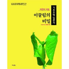 기초조형thinking