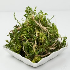 젠바이 국내재배 황토 노지 세척 냉이 500g 1kg, 1개, 알찬 500g
