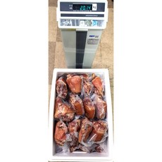 정성담은푸드 1박스 20kg 업소용 대용량 슈바인학센 (700g/900g), 1개
