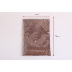 벌레잡이제비꽃키우기