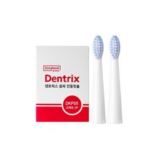 덴트릭스칫솔모