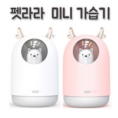 라라초음파
