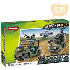 코브라전투단이지스함