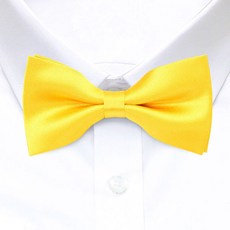 노란색나비넥타이