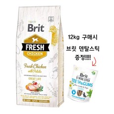 브릿 프레쉬 독 생육사료 치킨 그레이트 라이프, 1개, 12kg - 브릿사료