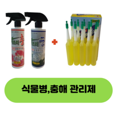 다육이무름