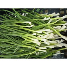 [조이푸드] 국내산 깐쪽파 당일손질 후 아이스박스발송, 1박스, 1kg