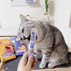 고양이 장건강 헤어볼제거제 헤어볼 영양제/고양이 눈 눈물 눈건강 영양제, 눈영양제(15gX7ea)1개