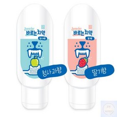 SH월드 바르는치약 딸기향 100G 강아지이빨관리 애견양치
