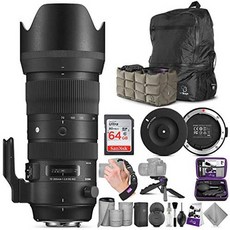 해외1465371 Sigma 70-200mm f2.8 DG OS HSM 스포츠 렌즈 for Canon 캐논 EF + Sigma USB Dock with Altur, One Color_For Canon, 상세 설명 참조0