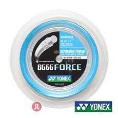 467722e854a341b7e8f11cca890d95603d68260821bb10438a208cc20246.jpg