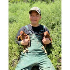 [미래숲토종닭] 강원도 자연방사 토종닭 농장에서 직접판매, 약닭(1년이상닭/2kg내외), 1개