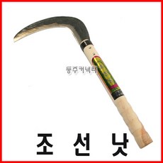 스팀레디오어낫