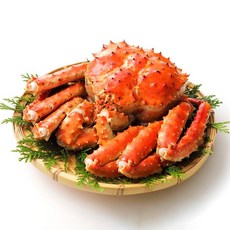 활 브라운 킹크랩 수율보장 레드 킹크랩 찜비 무료, 1개, 활 킹크랩 3.5kg