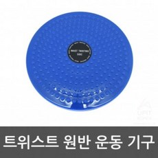 KFE347359트위스트 원반 운동기구