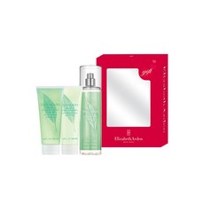 엘리자베스아덴바디세트