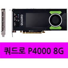 [중고] 쿼드로 P4000 8GB