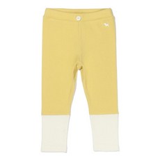 블루독컬러블록