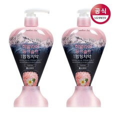 죽염 히말라야핑크솔트 펌핑치약 플로럴민트 285gx2개, 285g, 2개