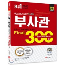 해군파이널300