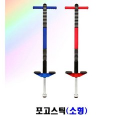 마이크로스카이콩콩