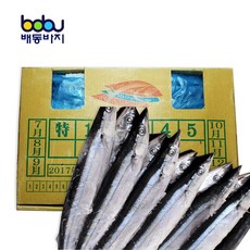미스터꽁치