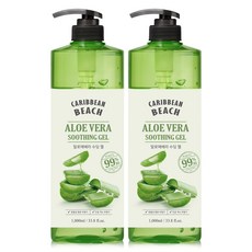 캐리비안비치 대용량 알로에 수딩젤 1000ml, 2개