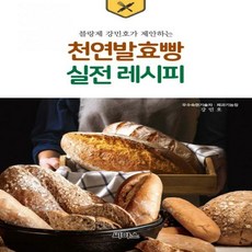 천연발효빵책