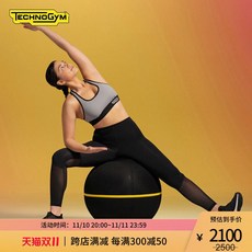 Technogym 테크노짐 액티브시팅볼 애기브볼 짐볼, 검은 색