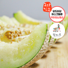당도 비교불가 초고당도 머스크 멜론 백화점 납품 명품 메론
