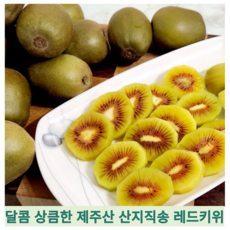 [제주산] 달콤한 과즙 입안가득 꿀당도 제주 농장직송 명품 레드키위 키위, 1개, 5kg(대과)