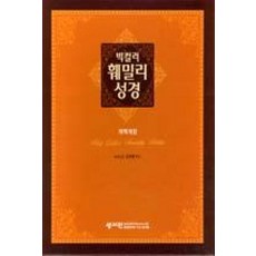 빅컬러 훼밀리 성경(자주색/특대/색인/...