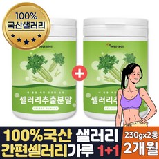 샐러리쥬스책
