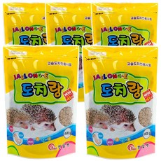 도치질문