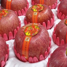 아리수사과 TOP01