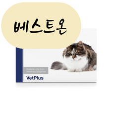  [해외] 시스테이드 반려묘 고양이 방광염 영양제 180캡슐 올스타일 영국직송 