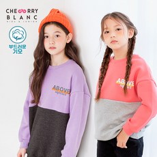 기모롱셔츠-추천-상품