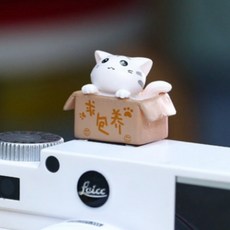 핫슈단자커버