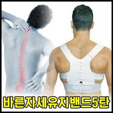 남성자세교정속옷