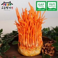 고군명가 귀리 동충하초버섯 3개 개당 200g 내외, 200