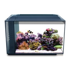 Fluval Evo XII Saltwater Aquarium Kit 13.5 Gal. – Saltwater Fish Tank with Reef-Capable LED Effi, 1개, 14.69kg